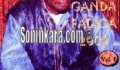 Concerts Musiciens Soninke